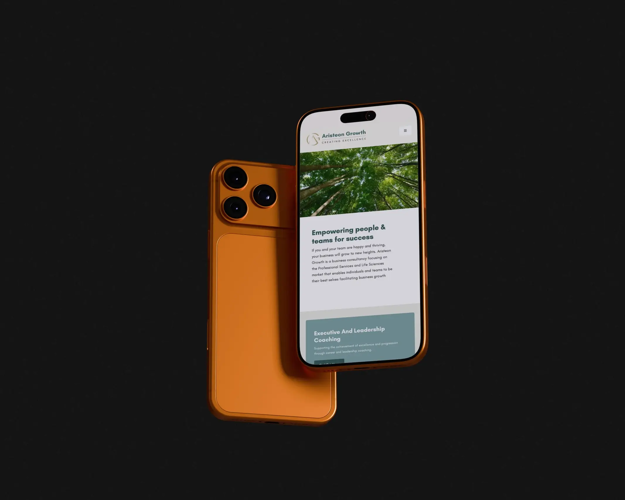 Mobile Website
