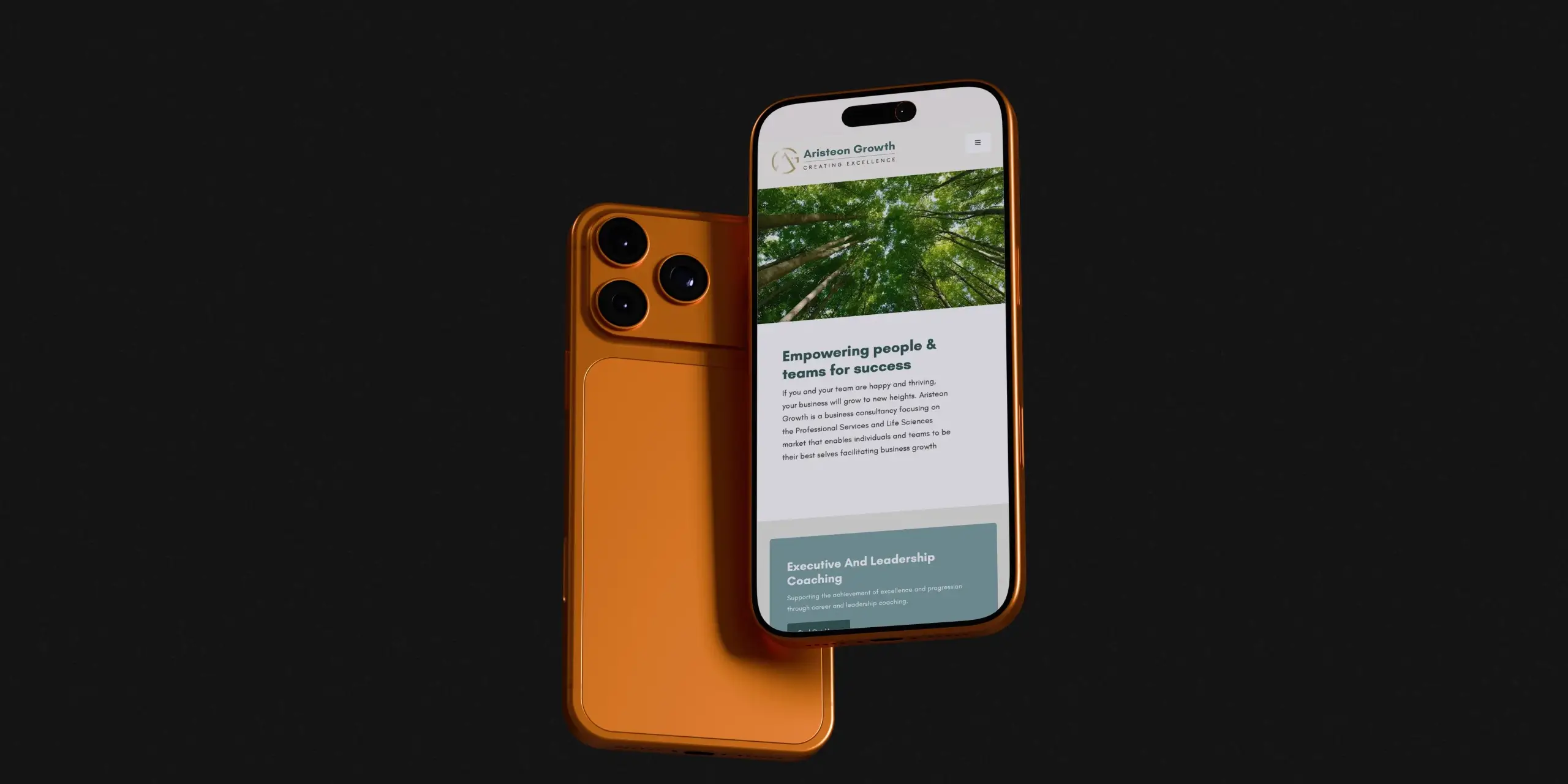 Mobile Website